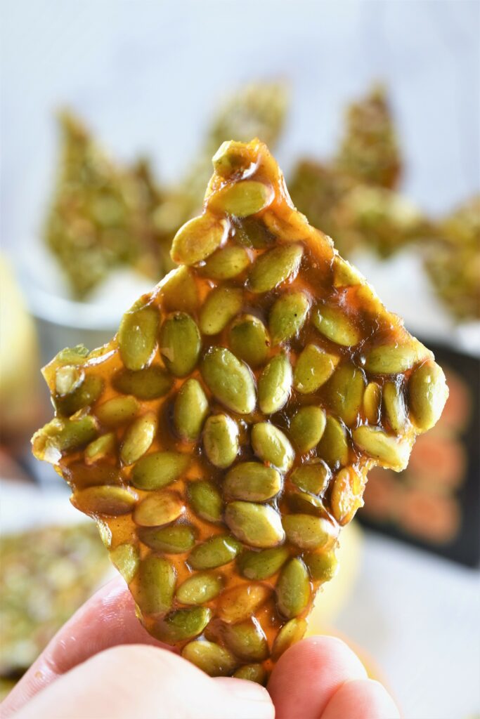 up close view of a piece of vegan pumpkin seed brittle